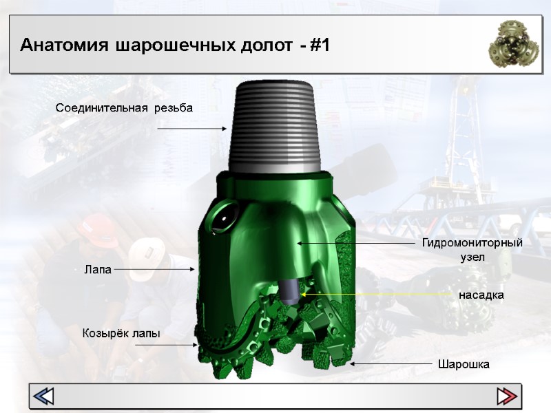 Анатомия шарошечных долот - #1 Соединительная резьба Лапа  Шарошка  насадка Гидромониторный узел